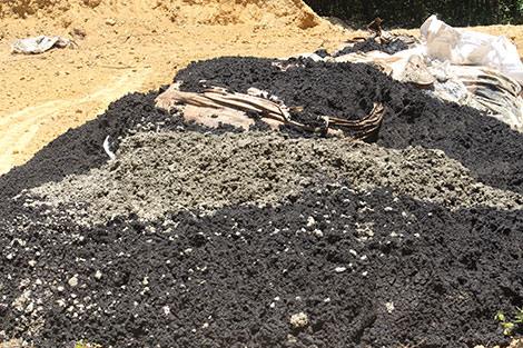 Formosa và Công ty MTĐT Kỳ Anh cố tình làm ngơ trước ô nhiễm môi trường