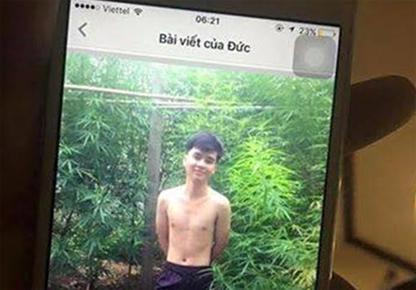 Phát hiện vườn cần sa giữa thành phố vì chủ nhân tung ảnh “tự sướng” lên Facebook