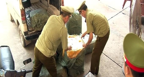 Thu giữ hơn 600 kg nầm lợn cực bẩn nhập lậu