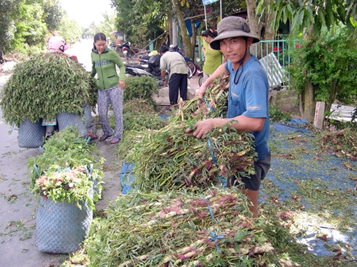 Nông nghiệp đứng “bên lề” trong thu hút FDI
