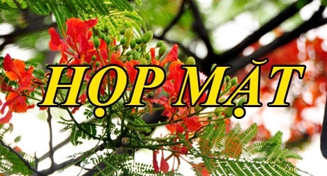 Mời Hội khóa D28