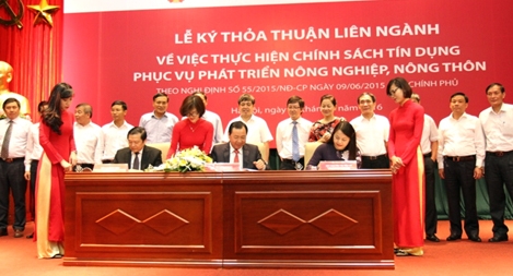 Hàng triệu hộ nông dân được vay vốn của Agribank phát triển sản xuất