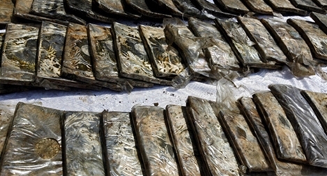 Triệt phá nguồn cung ma túy trị giá 54 tỷ USD cho nửa châu Âu và Trung Ðông