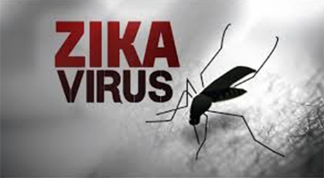 UBND TP Hồ Chí Minh họp khẩn về phòng chống dịch Zika