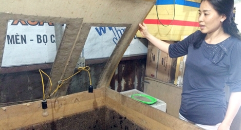 Người phụ nữ "hốt" bạc tỷ nhờ nuôi côn trùng