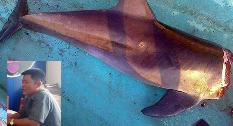 Tìm ra chủ tàu bắt cá heo chặt đầu, mổ bụng đăng lên facebook