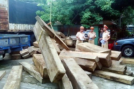 Lật tẩy thủ đoạn vận chuyển gỗ lậu trên tuyến Quốc lộ 1