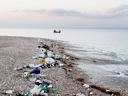 Người Anh không bán “ve chai”