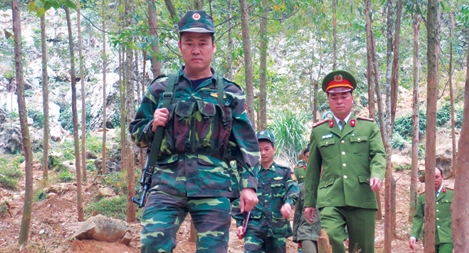 Đường tuần tra trong sắc xuân