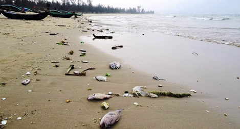 Kiểm tra tình hình chi trả bồi thường cho ngư dân sau sự cố môi trường biển