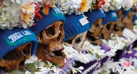 Ngày của sọ người