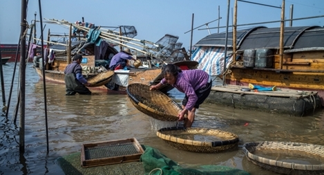Bộ tộc cổ bị mai một, cuộc sống lênh đênh