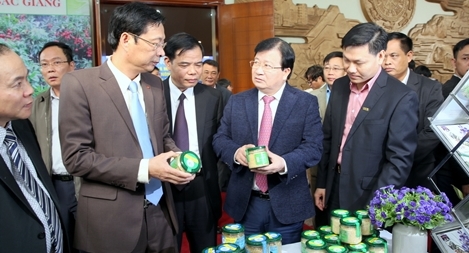 Phát triển mỗi xã một sản phẩm trong xây dựng nông thôn mới