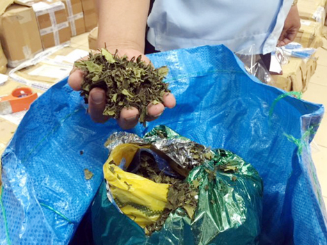 Nhận diện ma túy mới - hệ lụy báo trước