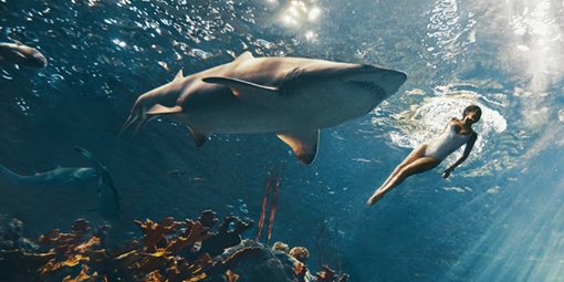 Đồ bơi chống cá mập