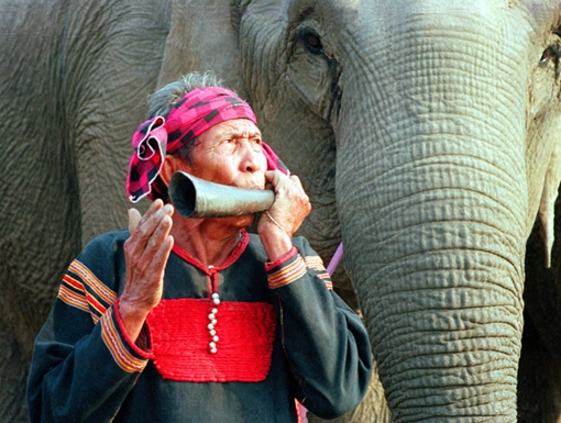 Có cái nắng, có cái gió, có cái quyết làm…