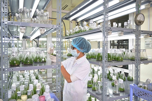 3 đối tượng phải đăng ký cấp Giấy phép tiếp cận nguồn gen