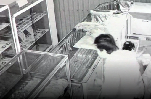 Hàng loạt vụ trộm chưa tìm ra thủ phạm: Đừng quá ỷ vào… “mắt thần” (!)