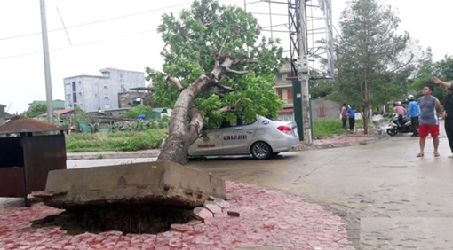TP Vinh tan hoang, nhiều thuyền viên mất tích sau cơn bão số 2