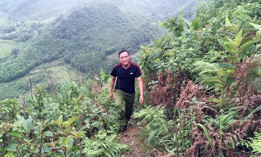 Những cuộc tìm kiếm bí ẩn trên đỉnh Fansipan