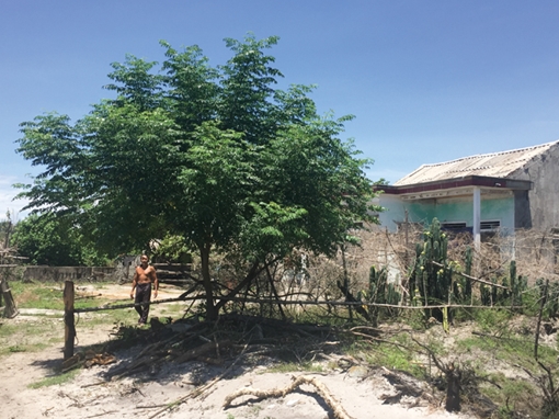 Xung quanh tranh cãi dừng hay khởi động dự án mỏ sắt Thạch Khê