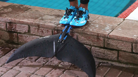 Ðuôi nhân tạo giúp “người cá” Michael Phelps đánh bại cá mập trắng?