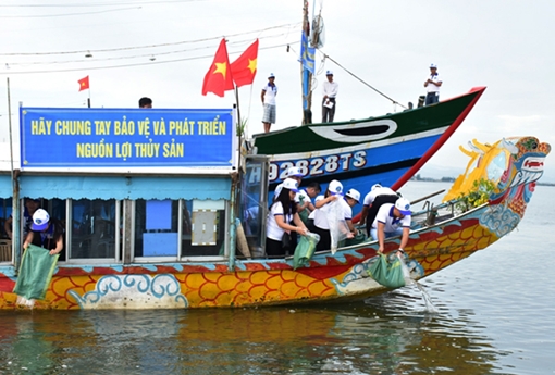 Nỗ lực tái tạo nguồn lợi thủy sản sau sự cố môi trường biển