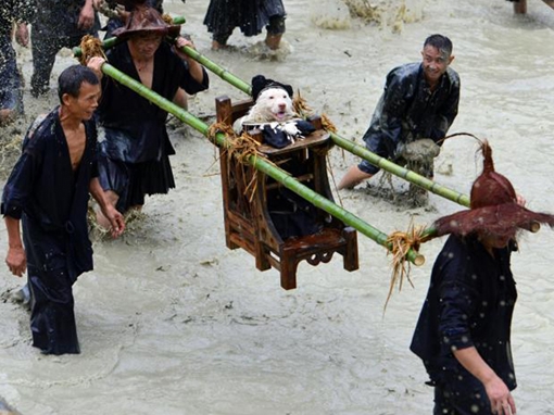 Chuyện lạ thế giới - số 198