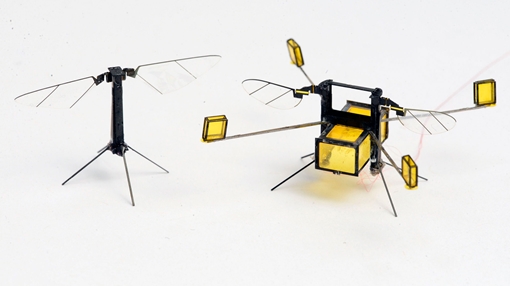 Robot siêu nhỏ vừa biết bay vừa biết bơi