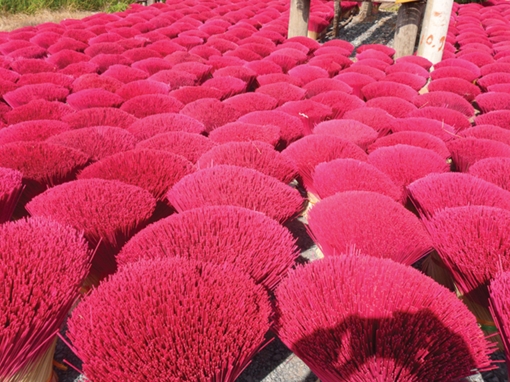 Đi qua vùng đất thơm