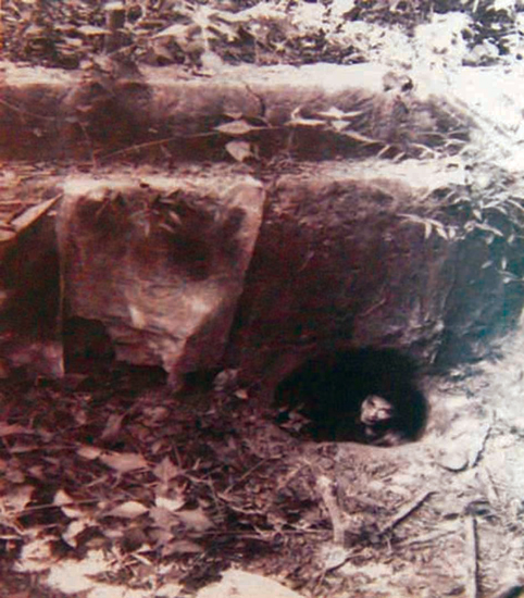 Mật khu chiều cuối năm