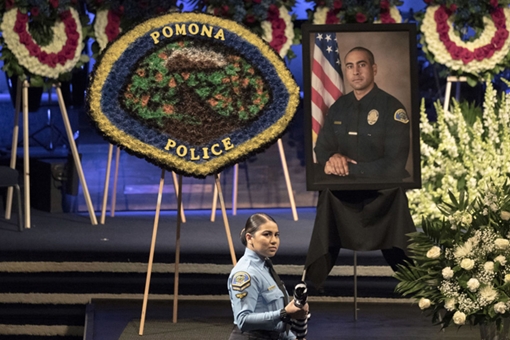 Cảnh sát bốn phương số 211