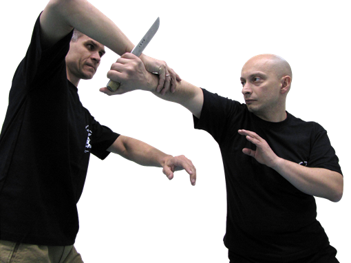 Systema: Môn võ sát thủ của Đặc nhiệm Nga