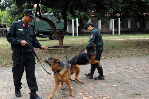 Đại úy Đỗ Văn Chức và những chiến công xuất sắc cùng cảnh khuyển