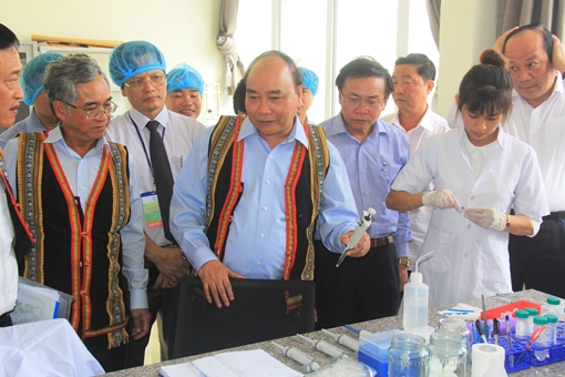 Thủ tướng Nguyễn Xuân Phúc: Sâm Ngọc Linh là Quốc bảo của Việt Nam