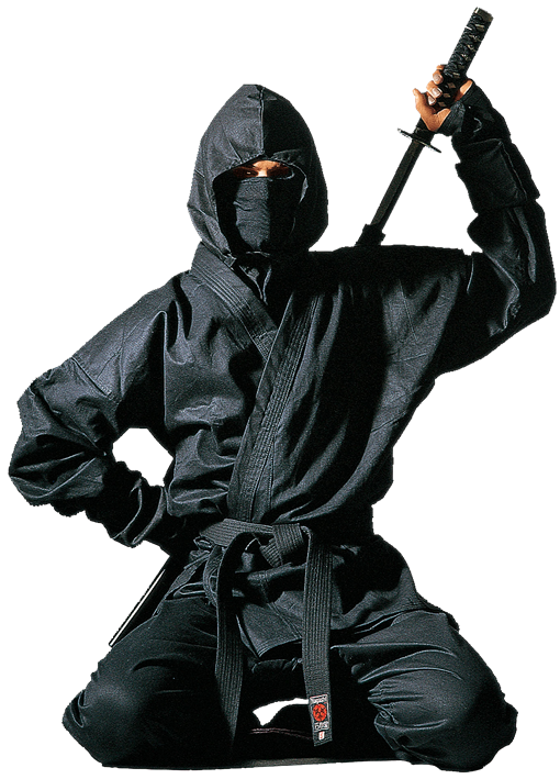 Ninjutsu: Huyền thoại các Ninja