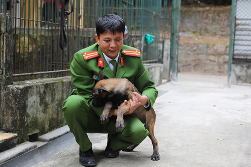 Những người thầy tận tâm với nghề chăm Cảnh khuyển