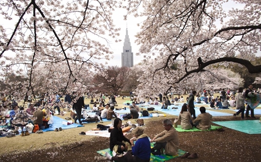 Chuyện lạ thế giới số 226