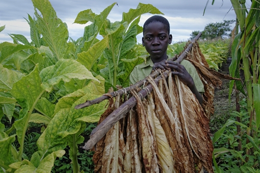 Phía sau làn khói: Đen & Trắng - Kỳ 2