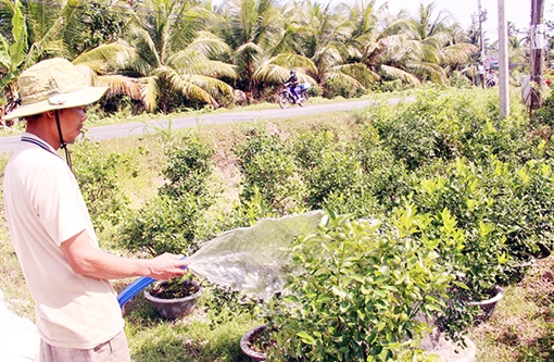 Công an huyện nỗ lực ngăn chặn nạn trộm cây giống, hoa kiểng