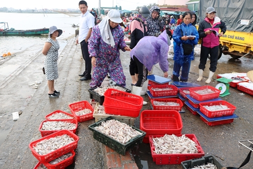 Xuân ấm áp ở làng biển miền Trung