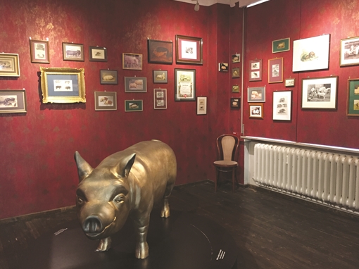 Độc đáo Bảo tàng Lợn