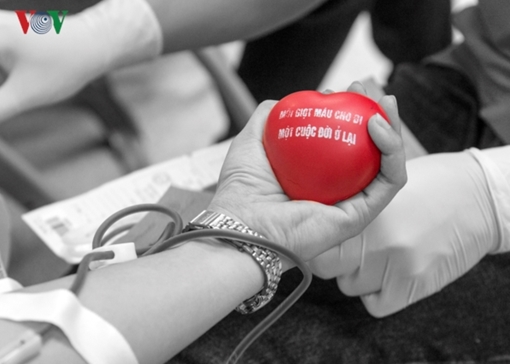 Thủ lĩnh Đoàn 17 lần hiến máu tình nguyện