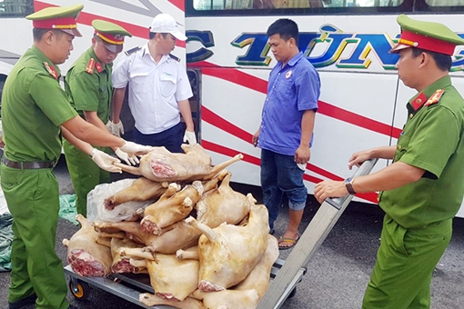 Công an các tỉnh ĐBSCL căng sức chống dịch bệnh của lợn