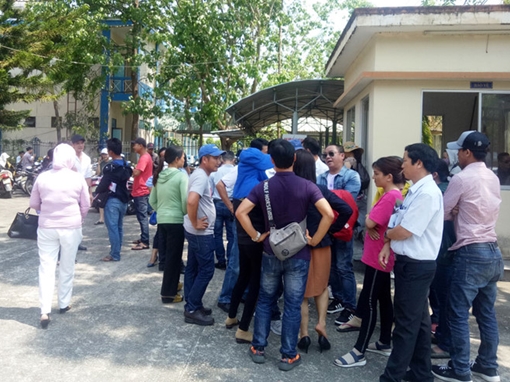 Thanh tra toàn diện các dự án của Công ty Bách Đạt An