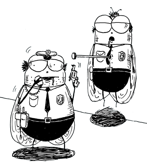 Ruồi sắp tuyệt chủng