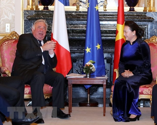 Việt Nam coi Pháp là đối tác ưu tiên trong quan hệ hợp tác với châu Âu