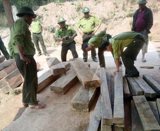 Khởi tố vụ phá rừng nghiêm trọng ở Phong Nha Kẻ Bàng