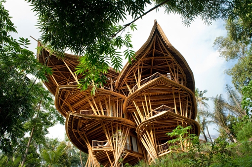 Khách sạn xanh đắt đỏ trong rừng làm hoàn toàn bằng tre