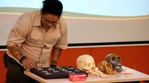 Homo luzonensis: Tổ tiên “thất lạc” của loài người?